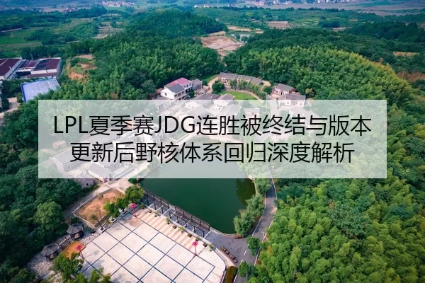 LPL夏季赛JDG连胜被终结与版本更新后野核体系回归深度解析