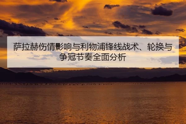 sa-la-he-shang-qing-ying-xiang-yu-li-wu-pu-feng-xian-zhan-shu-lun-huan-yu-zheng-guan-jie-zou-quan-mian-fen-xi-2-747.jpg