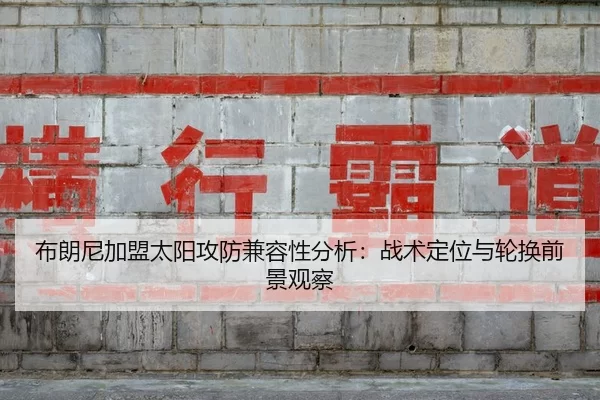 bu-lang-ni-jia-meng-tai-yang-gong-fang-jian-rong-xing-fen-xi-zhan-shu-ding-wei-yu-lun-huan-qian-jing-guan-cha-3-175.jpg